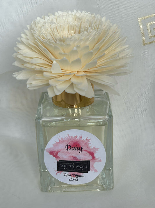 100ml Daisy Reed Diffuser - With Flower